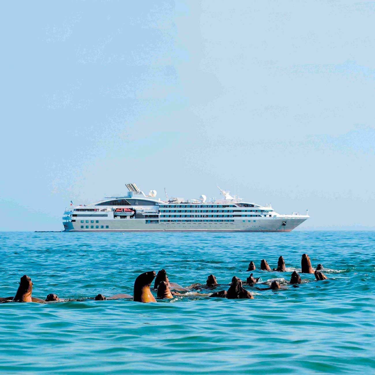 Bateau de croisière Le Ponant