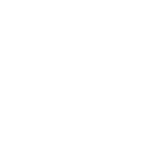 Puk